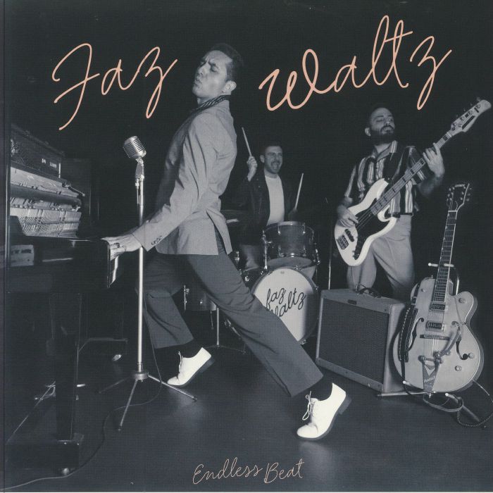 FAZ WALTZ - Endless Beat vinyl sleeve