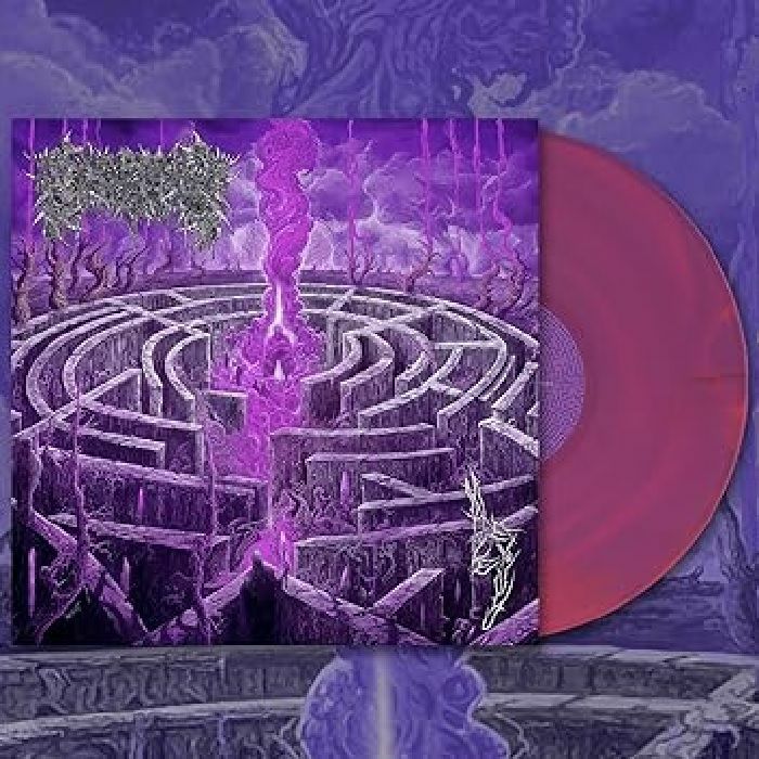 CIVEROUS - Maze Envy vinyl sleeve