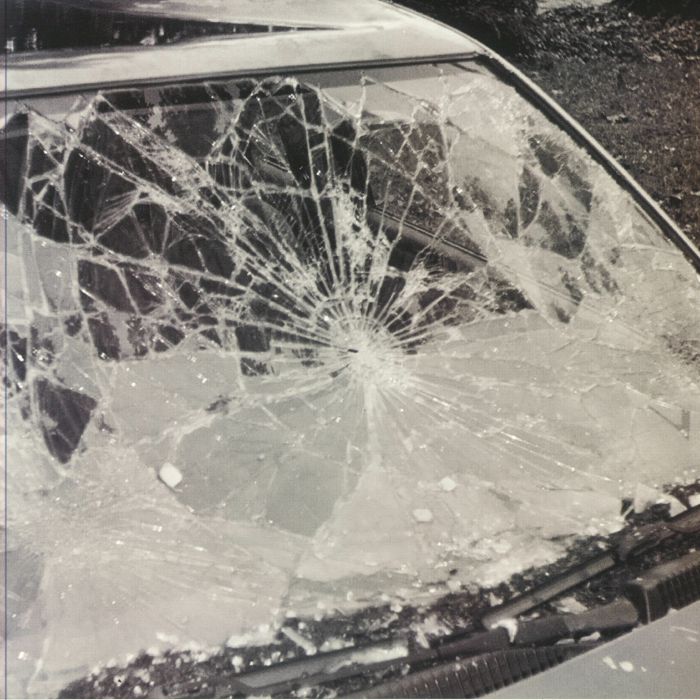 ADELAIDA - Retrovisor vinyl sleeve