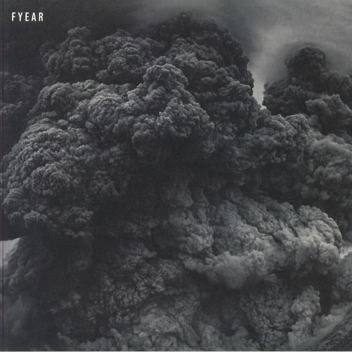 FYEAR - Fyear vinyl sleeve