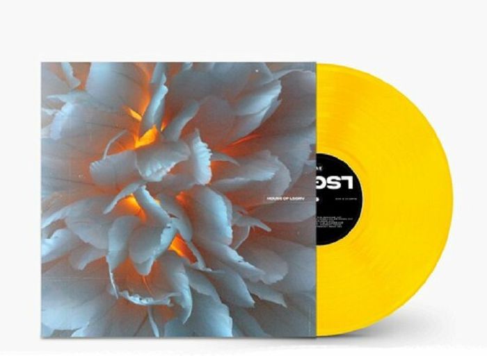 VARIOUS - House Of LSGRV (Record Store Day RSD 2024) vinyl sleeve