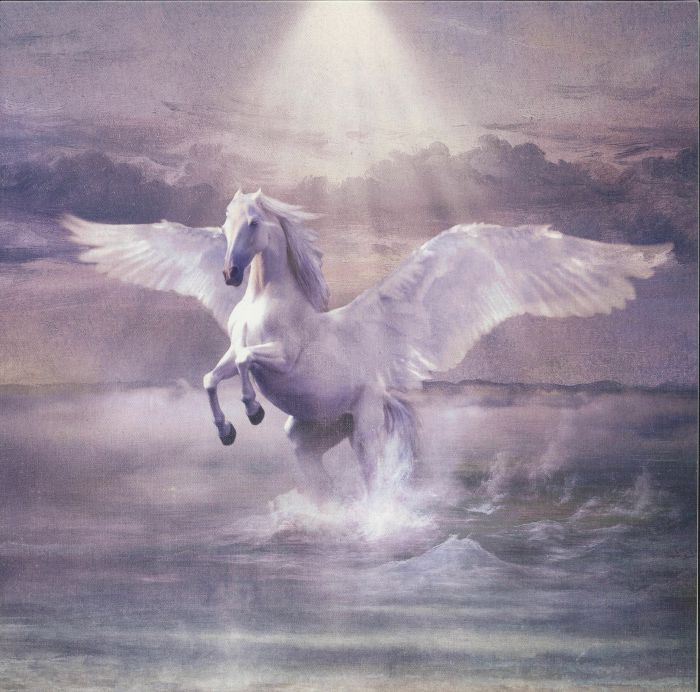 COSMO - Sulle Ali Del Cavallo Bianco vinyl sleeve