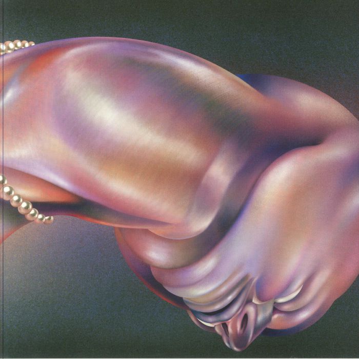 WALT DISCO - The Warping vinyl sleeve