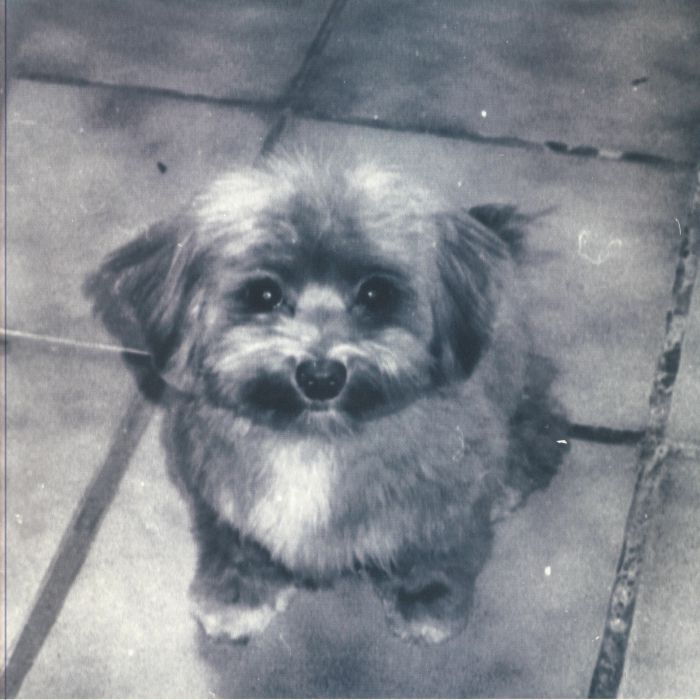 SUWI - Playing For Oscar vinyl sleeve