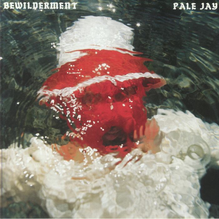 PALE JAY - Bewilderment vinyl sleeve