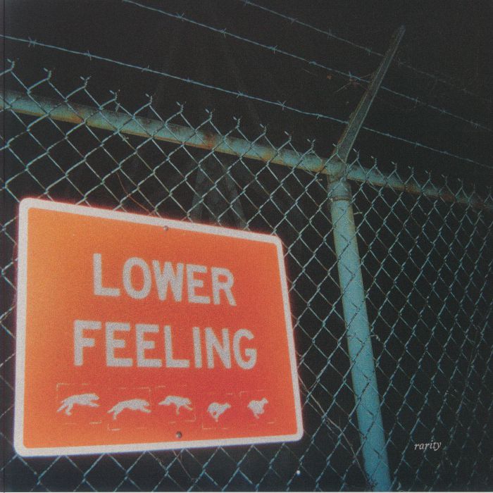 RARITY - Lower Feeling vinyl sleeve