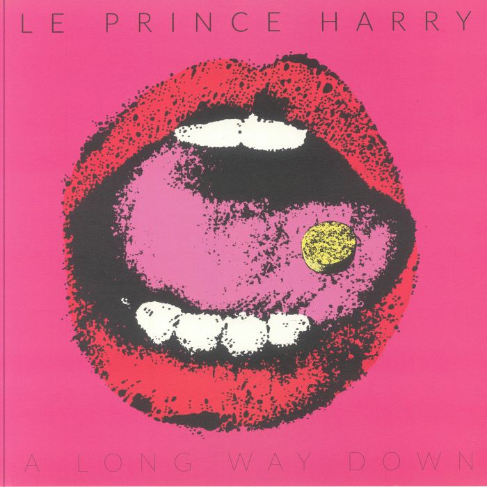 LE PRINCE HARRY - A Long Way Down vinyl sleeve