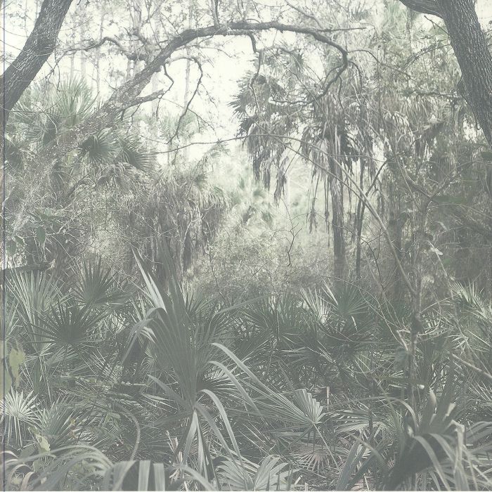 JENSEN, Anders P - Det Foranderlige Instrument vinyl sleeve