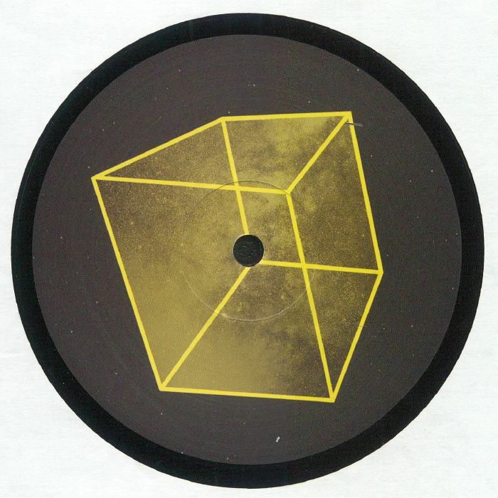 AUDIOJACK - Play With My Mind vinyl sleeve