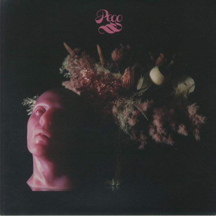 PEGG - Pegg vinyl sleeve