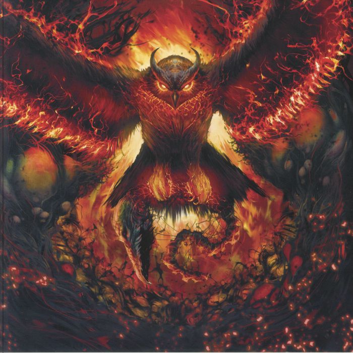 RAD OWL - Rage Gracefully vinyl sleeve