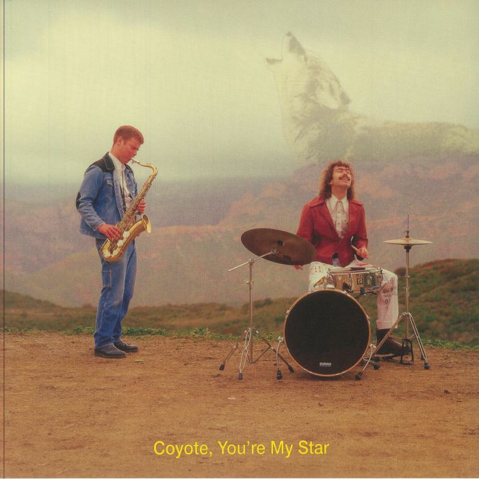 DANA & ALDEN - Coyote You're My Star vinyl sleeve