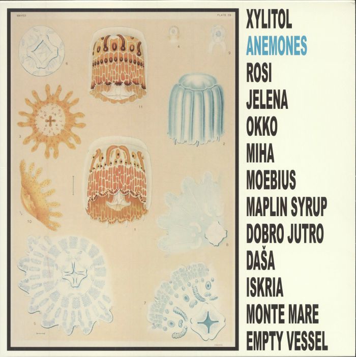 XYLITOL - Anemones vinyl sleeve