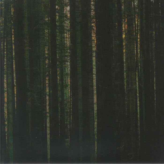 PAPER KITES - Evergreen vinyl sleeve