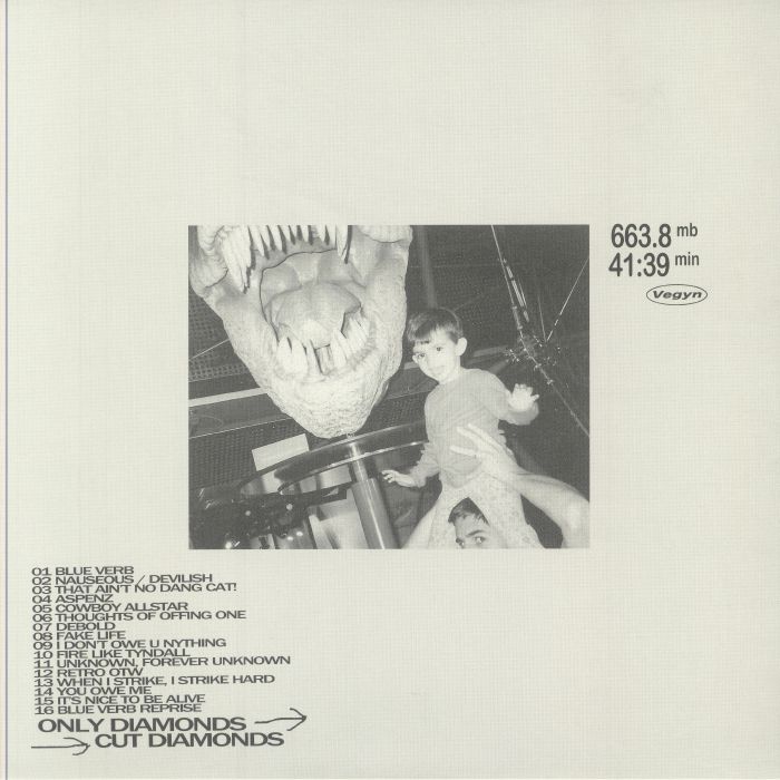 VEGYN - Only Diamonds Cut Diamonds (5 Year Anniversary Edition) vinyl sleeve
