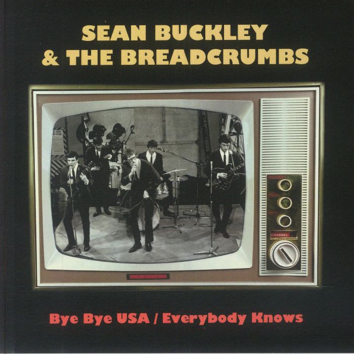 BUCKLEY, Sean/THE BREADCRUMBS - Bye Bye USA vinyl sleeve