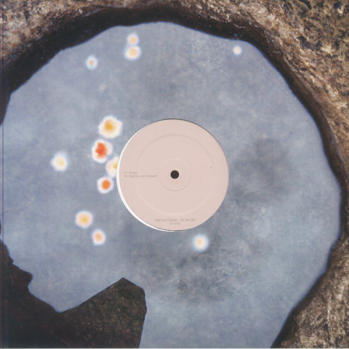 ODSAT, Asmus - As We Sit vinyl sleeve