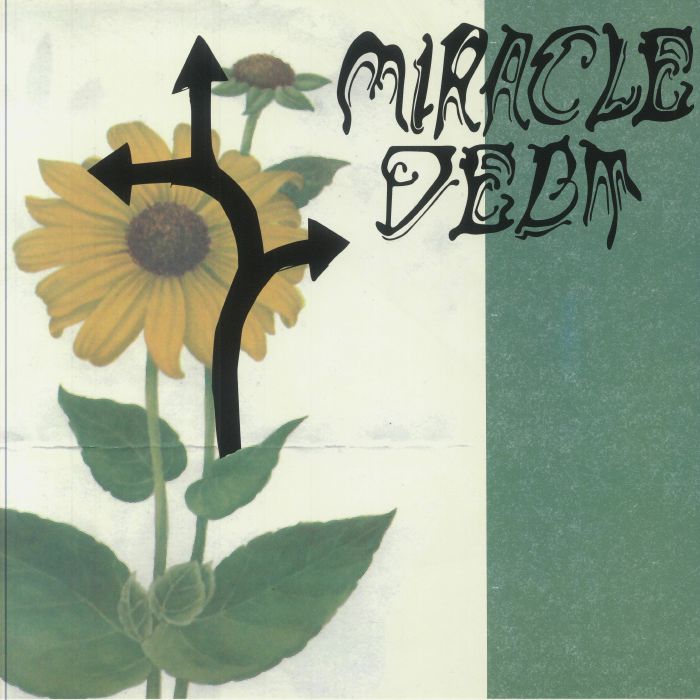 MIRACLE DEBT - Under The Shadow vinyl sleeve