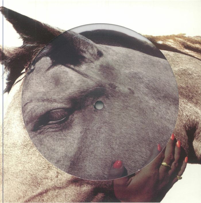 SUEDE - The Wild Ones (30th Anniversary Edition) vinyl sleeve