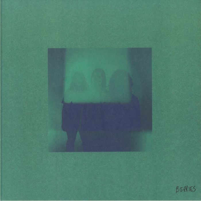 BERRIES - Berries vinyl sleeve