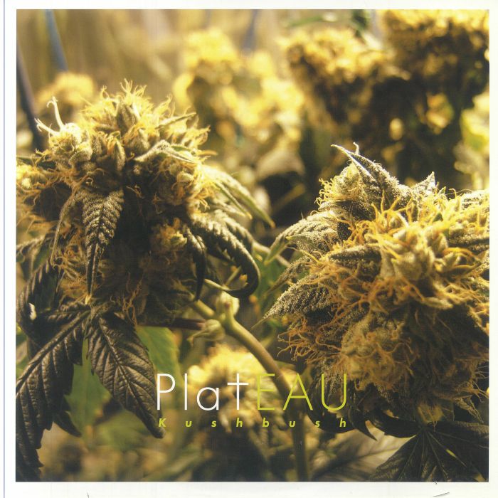 PLATEAU - Kushbush vinyl sleeve