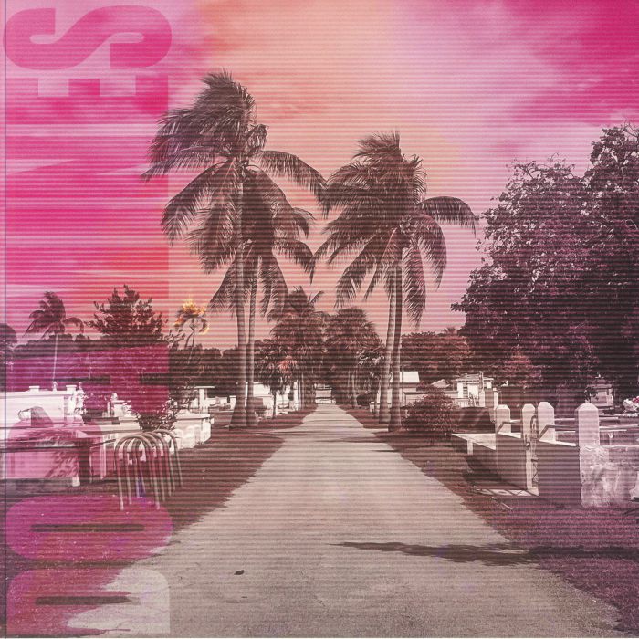 DOPAMINES, The - 80/20 vinyl sleeve