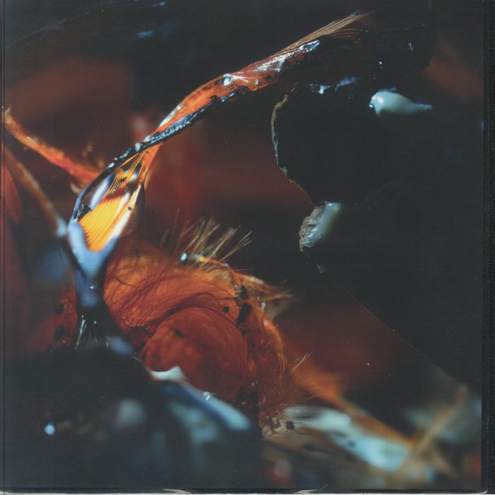 POOLE - In A River Shadow vinyl sleeve