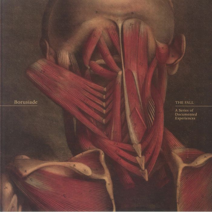 BORUSIADE - The Fall: A Series Of Documented Experiences vinyl sleeve