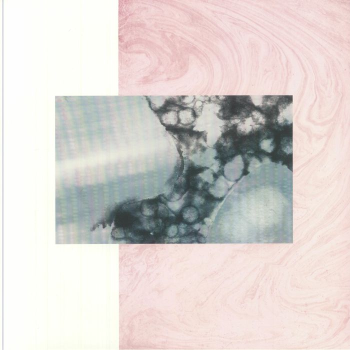 HAWAII8 - Archivi 1999/2021 vinyl sleeve