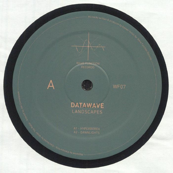 DATAWAVE - Landscapes vinyl sleeve