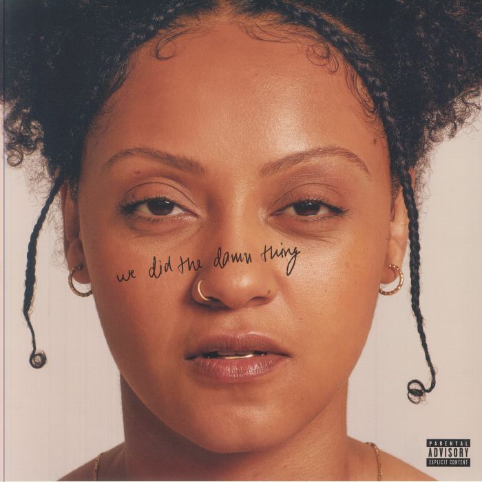 ALI, Naya - We Did The Damn Thing vinyl sleeve