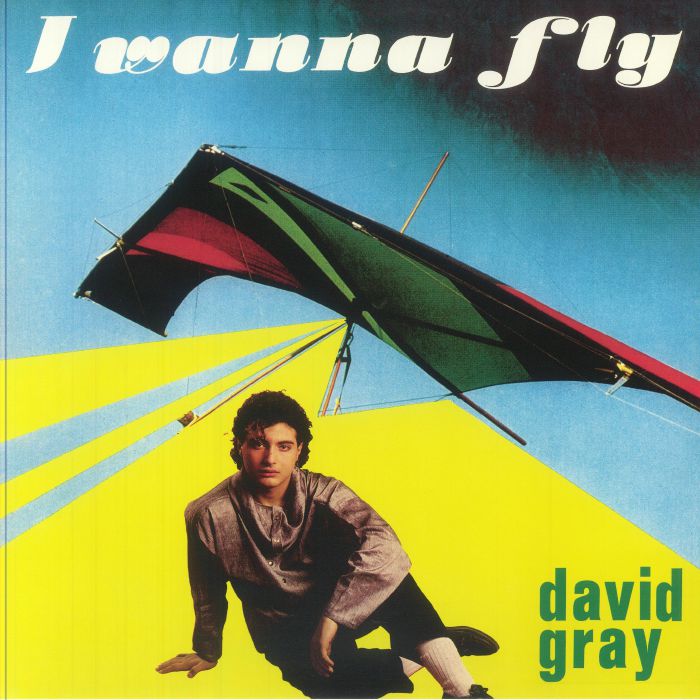 GRAY, David - I Wanna Fly vinyl sleeve