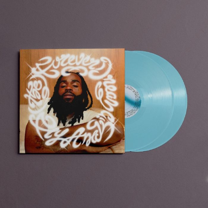 FLY ANAKIN - (The) Forever Dream vinyl sleeve