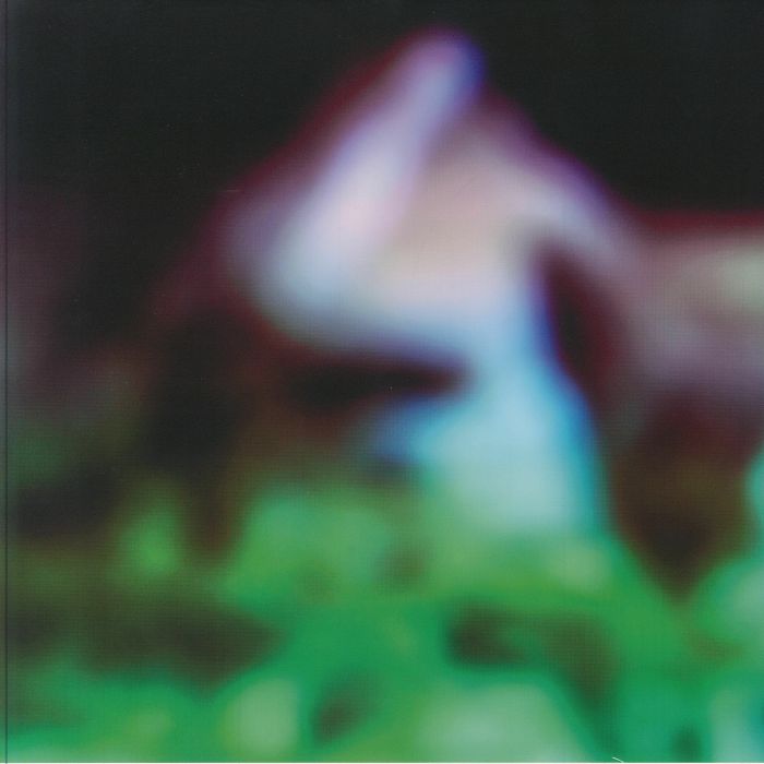 HAIR & TREASURE - Disc Rot vinyl sleeve