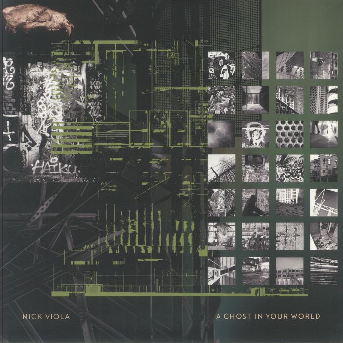 VIOLA, Nick - A Ghost In Your World vinyl sleeve