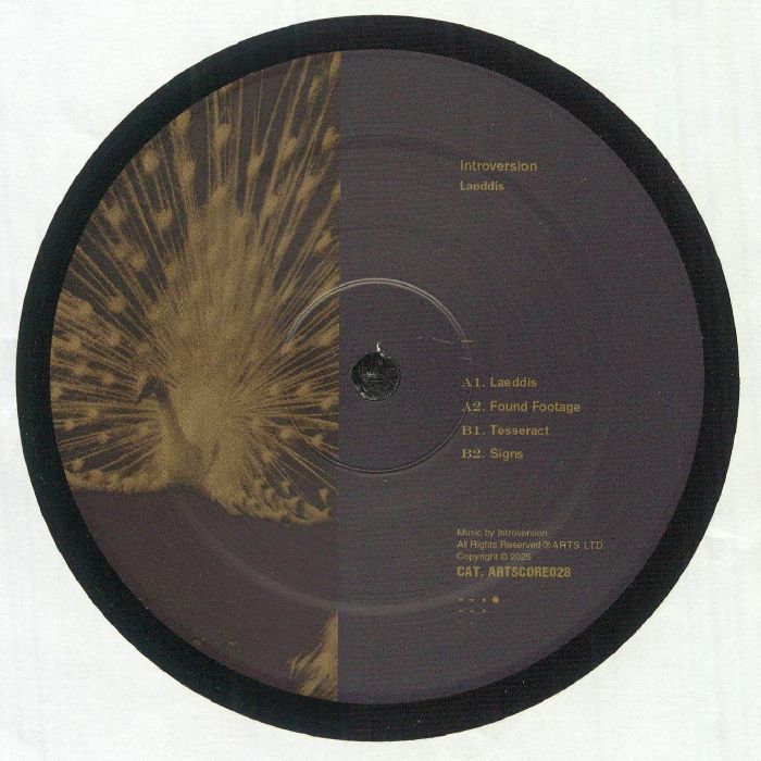 INTROVERSION - Laeddis vinyl sleeve