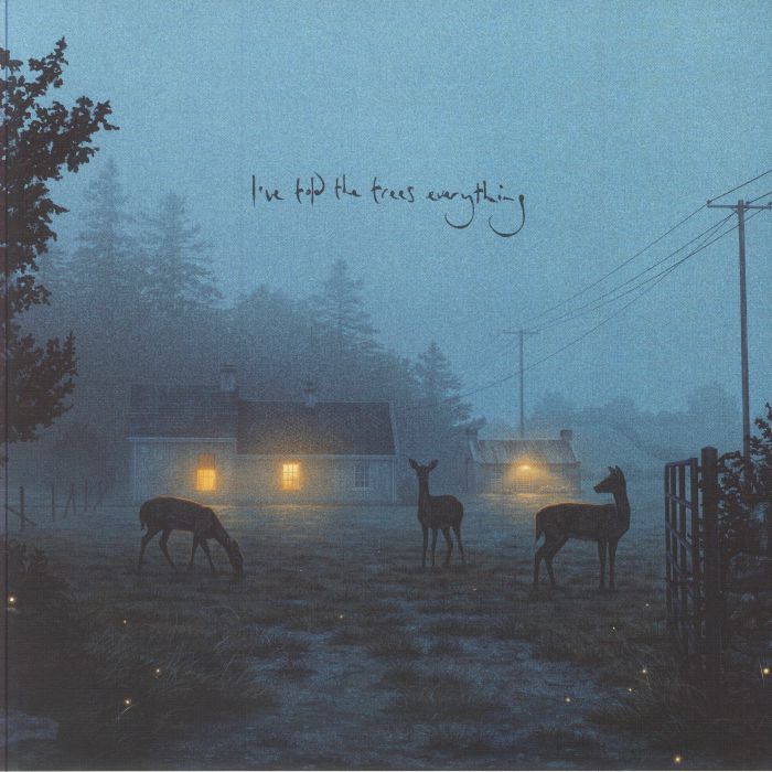 KENNEDY, Dermot - I've Told The Trees Everything vinyl sleeve