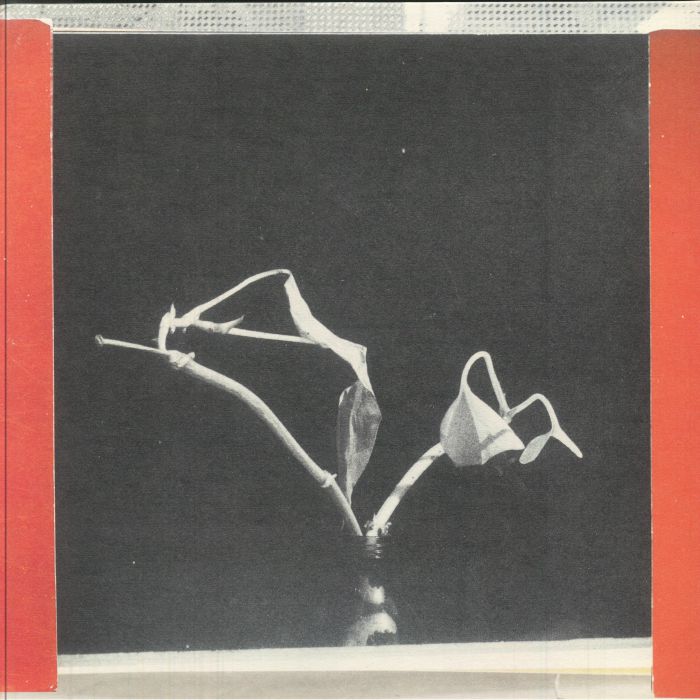 BASTIEN, Pierre/CASPER VAN DE VELDE - On A Tuesday & A Wednesday vinyl sleeve