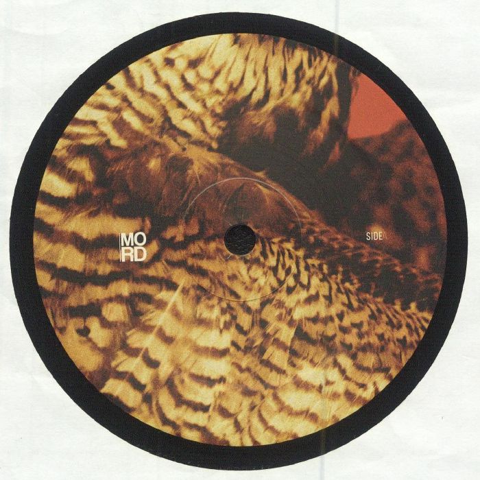 AMORPHIC/TENSAL - Highland Frequencies EP vinyl sleeve