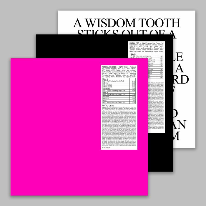 AMNESIA SCANNER/FREEKA TET - Hoax & STROBE RIP vinyl sleeve