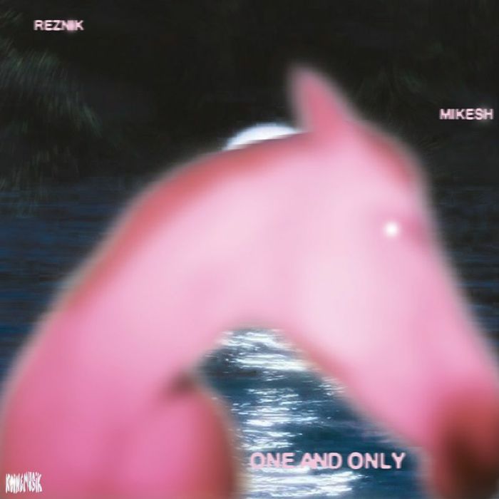REZNIK/MIKESH - One & Only vinyl sleeve