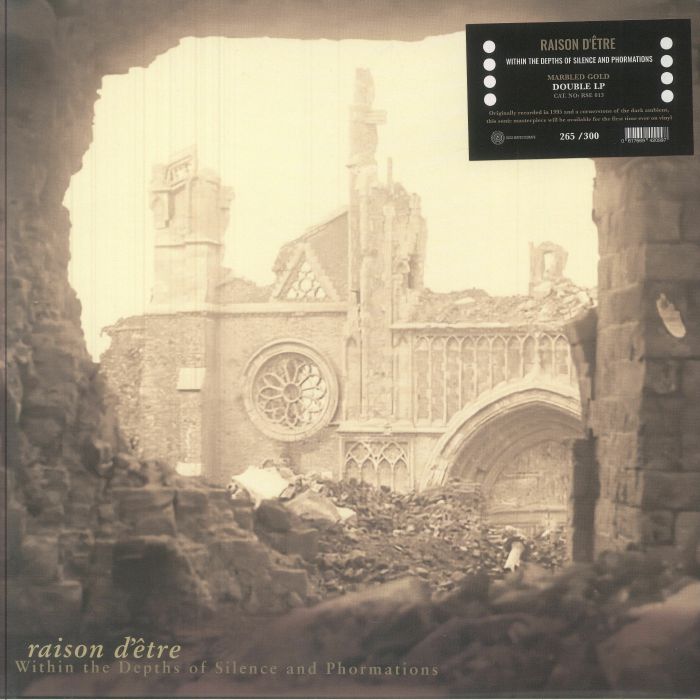 RAISON D'ETRE - Within The Depths Of Silence & Phormations (30th Anniversary Edition) vinyl sleeve