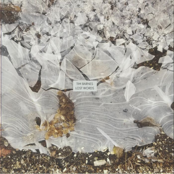 BARNES, Tim - Lost Words vinyl sleeve