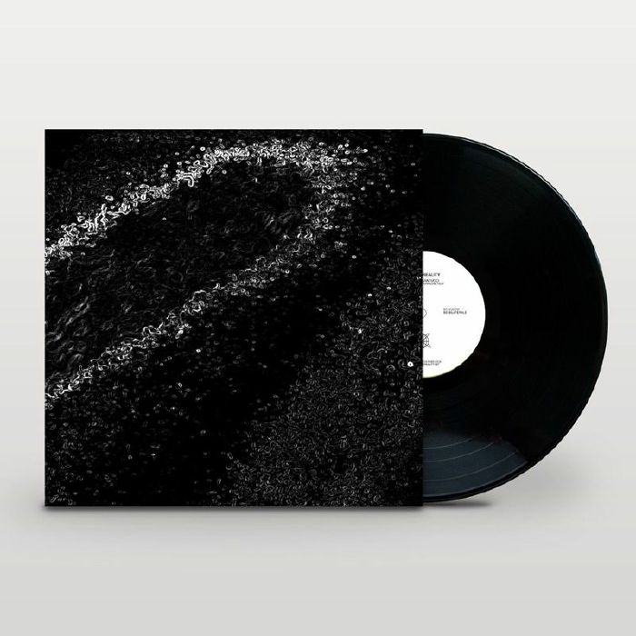 SANTUCCI, Gabriele - Impulso Elettromagnetico vinyl sleeve