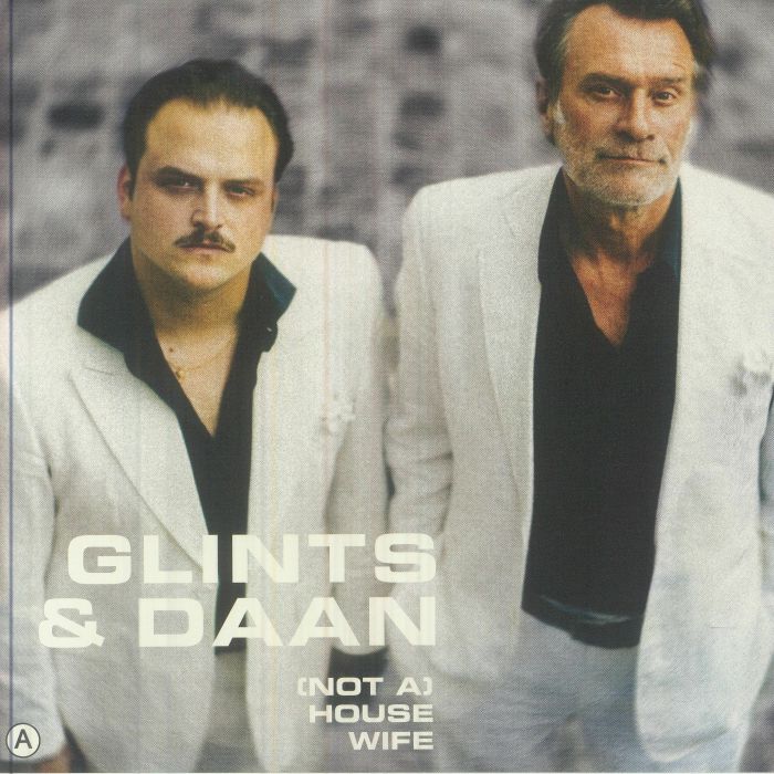 GLINTS/DAAN - (Not A) Housewife vinyl sleeve