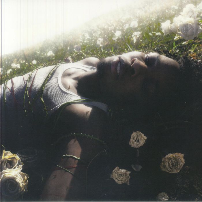 D4VD - Withered vinyl sleeve