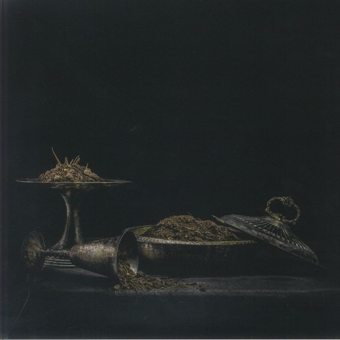 HOLY SCUM - All We Have Is Never vinyl sleeve