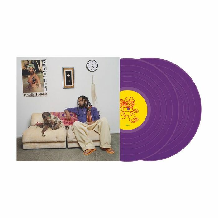 AMINE - 13 Months Of Sunshine vinyl sleeve
