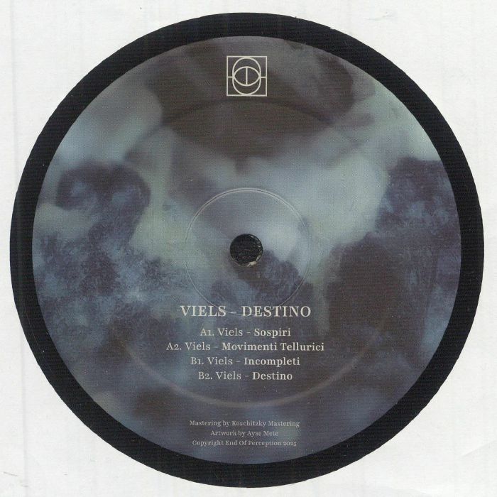 VIELS - Destino vinyl sleeve