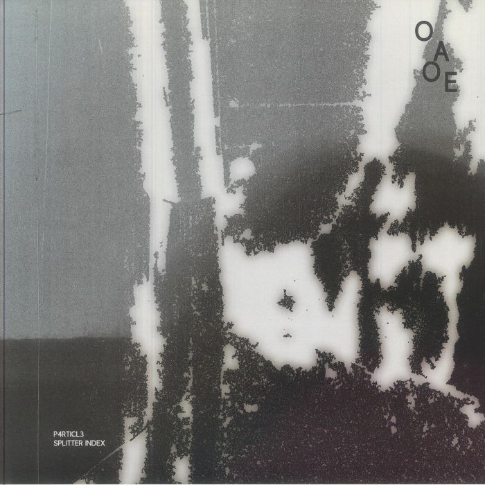 P4RTICL3 - Splitter Index vinyl sleeve
